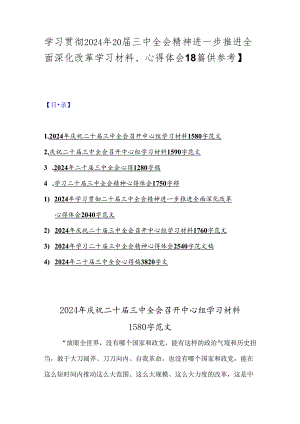 学习贯彻2024年20届三中全会精神进一步推进全面深化改革学习材料、心得体会【8篇供参考】.docx