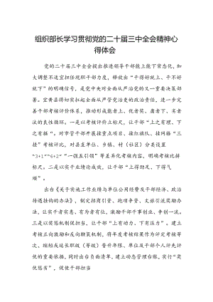 组织部长学习贯彻党的二十届三中全会精神心得体会.docx