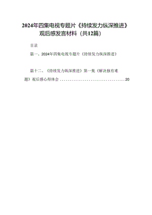2024年四集电视专题片《持续发力纵深推进》观后感发言材料（共12篇）.docx