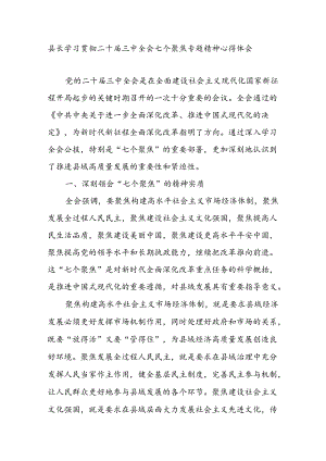 县长学习贯彻二十届三中全会七个聚焦专题精神心得体会研讨发言.docx