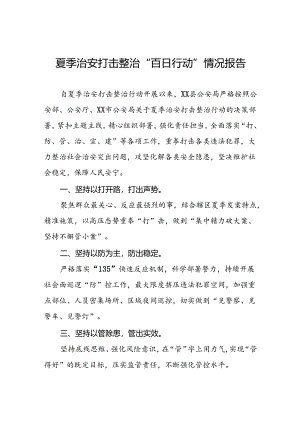 公安夏季治安打击整治工作总结报告四篇.docx
