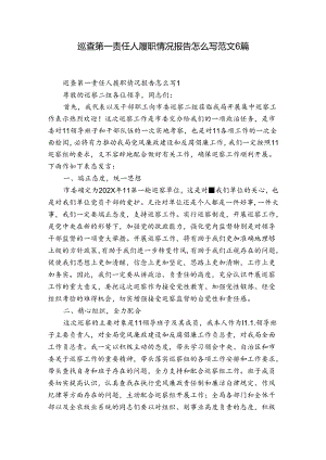 巡查第一责任人履职情况报告怎么写范文6篇.docx