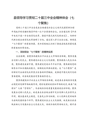 县长学习贯彻二十届三中全会精神体会（七个聚焦）.docx