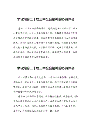 学习二十届三中全会精神的心得体会简要发言三十篇.docx