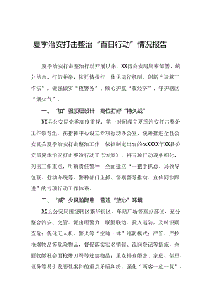 公安推进夏季治安打击整治行动情况汇报11篇.docx