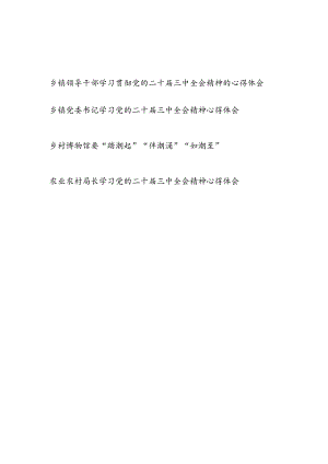 农业农村干部乡镇领导干部党委书记学习贯彻党的二十届三中全会精神研讨发言4篇.docx