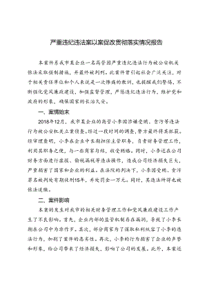 2篇 2024年严重违纪违法案以案促改贯彻落实情况报告.docx