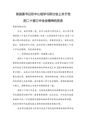 某县委书记在中心组学习研讨会上关于党的二十届三中全会精神的发言.docx