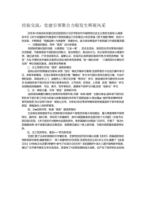 经验交流：党建引领聚合力 银发生辉展风采.docx
