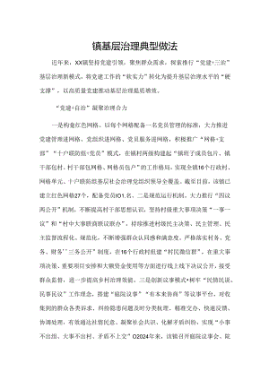 镇基层治理典型做法.docx