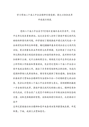 学习贯彻二十届三中全会精神专题党课：持之以恒把改革开放进行到底.docx