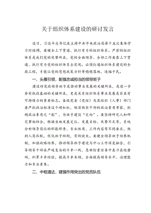 关于组织体系建设的研讨发言.docx