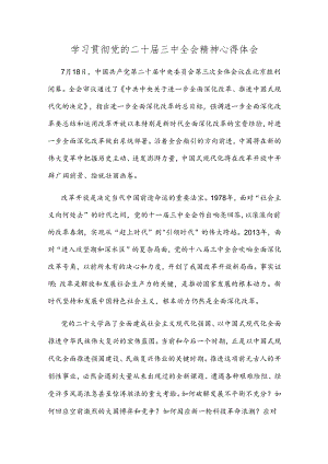 学习贯彻党的二十届三中全会精神心得体会.docx