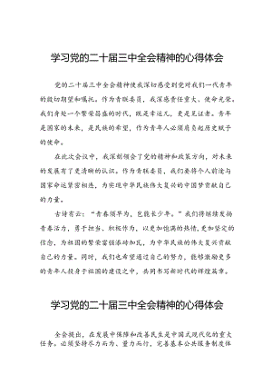 党员干部二十届三中全会精神学习体会汇编三十篇.docx