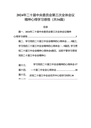 2024年二十届中央委员会第三次全体会议精神心得学习感悟（共16篇）.docx