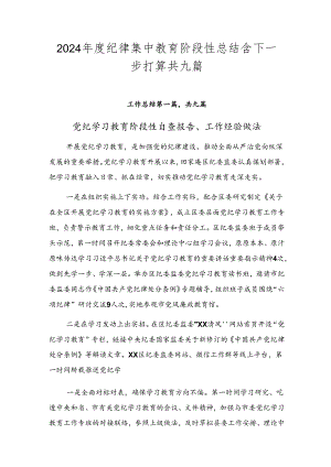 2024年度纪律集中教育阶段性总结含下一步打算共九篇.docx