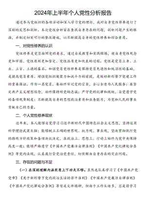 2024年上半年个人党性分析报告.docx