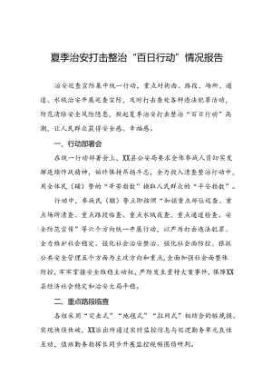 公安2024夏季治安打击整治“百日行动”总结报告6篇.docx