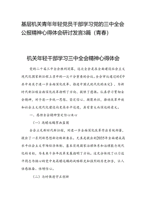 基层机关青年年轻党员干部学习党的三中全会公报精神心得体会研讨发言3篇（青春）.docx