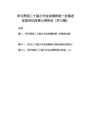 （12篇）学习贯彻二十届三中全会精神进一步推进全面深化改革心得体会范文.docx