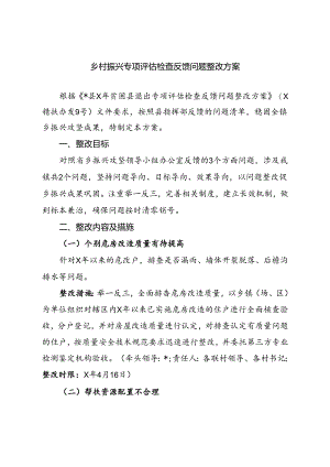 乡村振兴专项评估检查反馈问题整改方案.docx