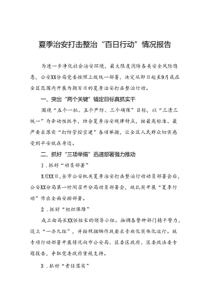 十八篇公安2024年夏季治安打击整治行动工作总结报告.docx