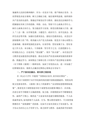 “廉洁纪律和群众纪律”研讨讲稿例文12篇（详细版）.docx