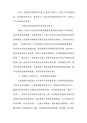 学习贯彻党的二十届三中全会精神的研讨发言.docx