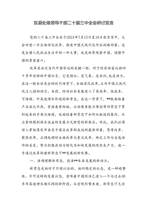区县处级领导干部二十届三中全会研讨发言心得体会.docx