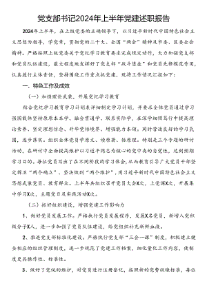 党支部书记2024年上半年党建述职报告.docx