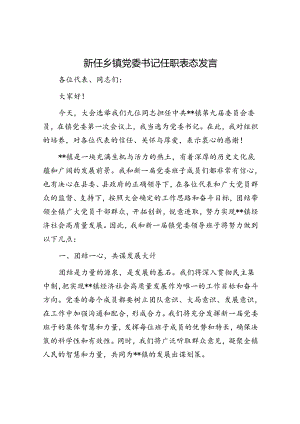 新任乡镇党委书记任职表态发言.docx