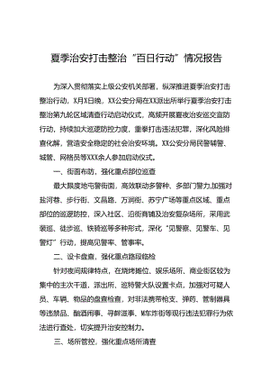 十八篇公安2024年夏季治安打击整治情况报告.docx