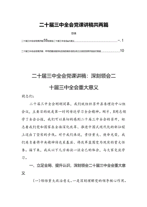 二十届三中全会党课讲稿共两篇.docx