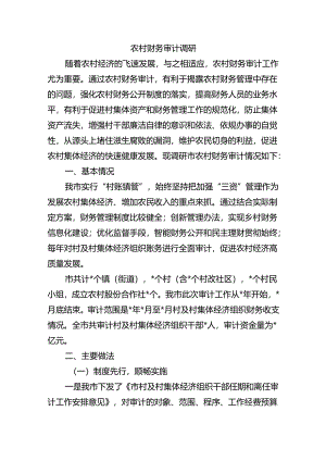 农村财务审计调研.docx