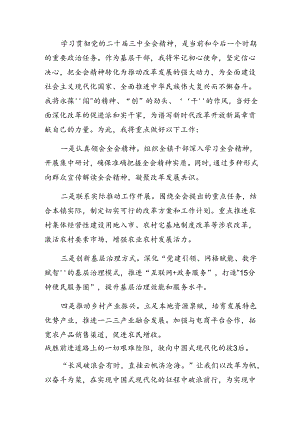 集体学习2024年二十届三中全会公报的研讨发言材料及心得七篇.docx