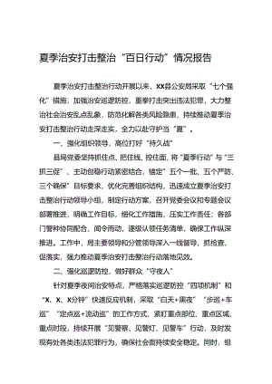 公安2024年夏季治安打击整治行动情况汇报五篇.docx