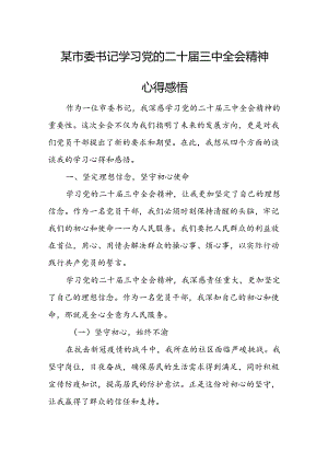 某市委书记学习党的二十届三中全会精神心得感悟.docx