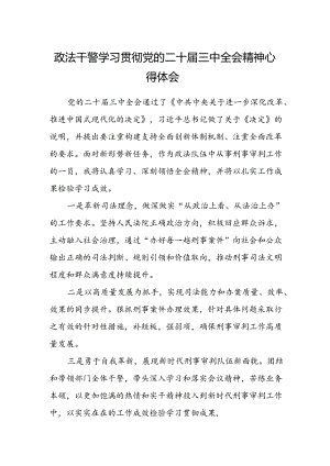 政法干警学习贯彻党的二十届三中全会精神心得体会.docx