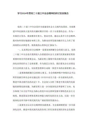 学习2024年贯彻二十届三中全会精神的研讨发言集合篇.docx