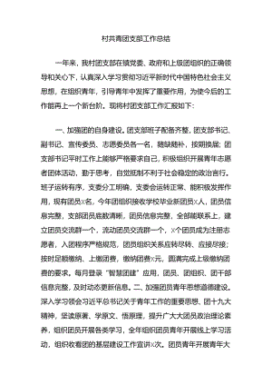 村共青团支部工作总结.docx