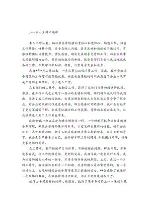 java实习生转正述职.docx