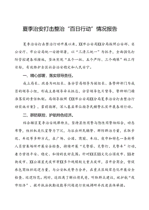 公安分局2024年夏季治安打击整治行动情况报告四篇.docx