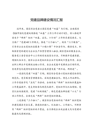 党建品牌建设情况汇报.docx
