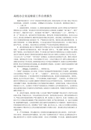 高校办公室巡察前工作自查报告.docx