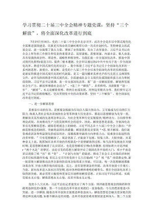 学习贯彻二十届三中全会精神专题党课：坚持“三个解放”将全面深化改革进行到底.docx
