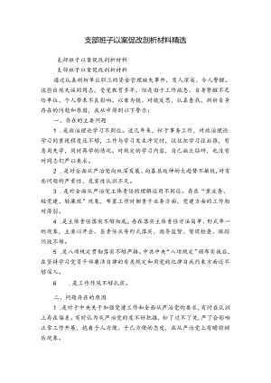 支部班子以案促改剖析材料精选.docx