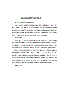 责任担当方面存在的问题及整改措施.docx