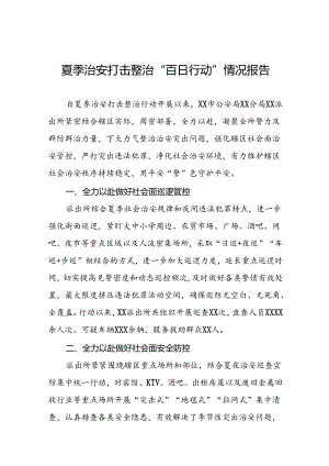 2024年夏季治安打击整治专项工作总结十四篇.docx