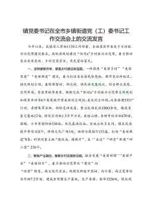 镇党委书记在全市乡镇街道党(工)委书记工作交流会上的交流发言.docx