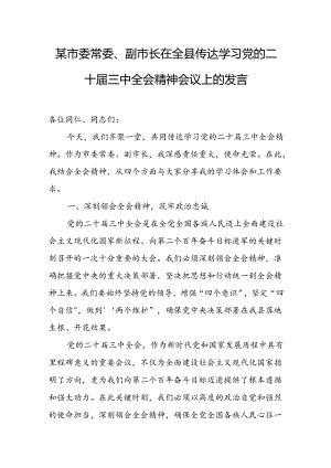 某市委常委、副市长在全县传达学习党的二十届三中全会精神会议上的发言.docx